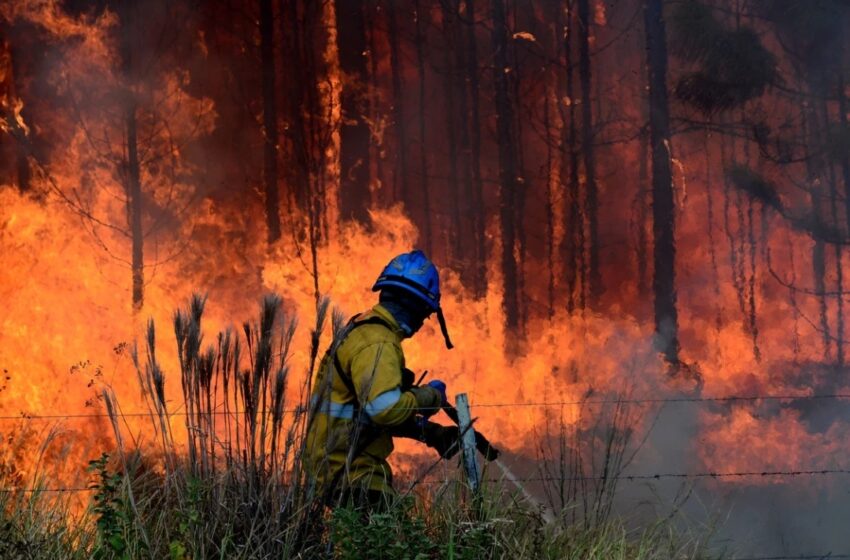 Las pérdidas por los incendios y la sequía superan los $ 26.000 millones